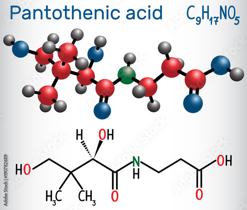 Pantothenic acid ( vitamin B5, pantothenate ) . Structural chemical formula and molecule model.