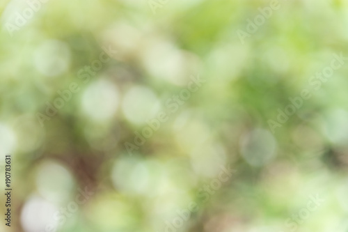 blur background with tree