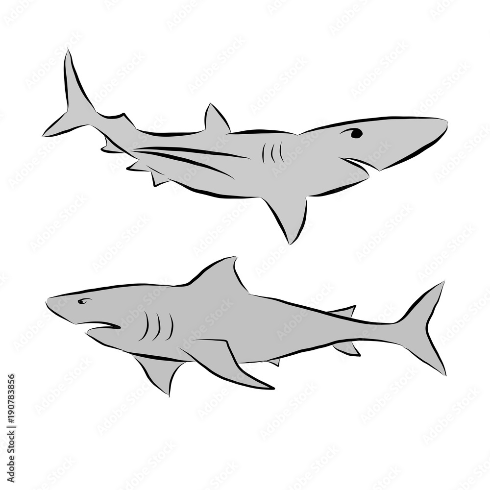 Obraz premium Sharks Vector Illustration