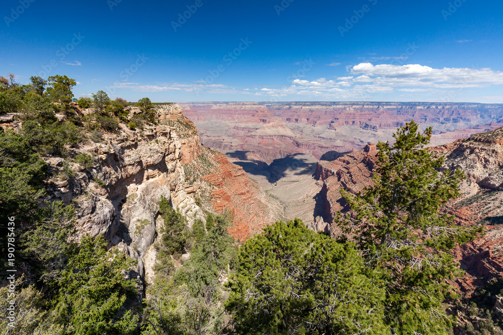 Scenic South Rim Grand Canyon Landscape