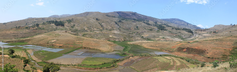 typische Reisfelder in Madagakar, im Hintergrund Gebirge, Panorama