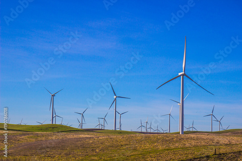 Field Of Energy Wind Mills