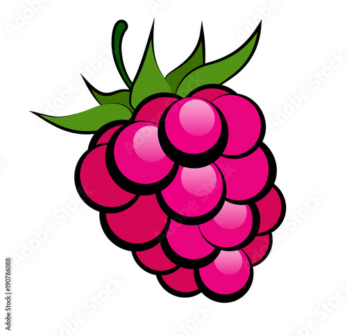 Ripe bright raspberry with black stroke on a white background.Vector illustration