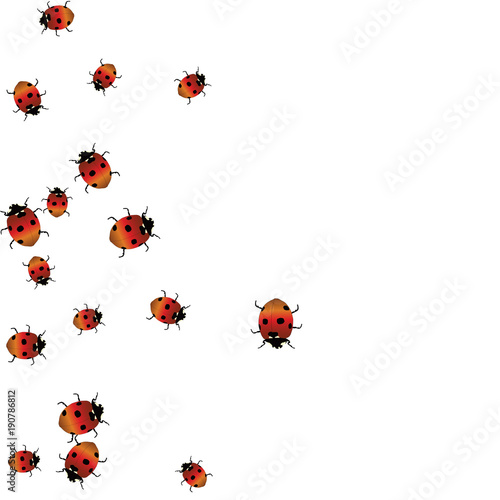 Delicate background with ladybugs. Trendy template for a postcard, stamp, banner or poster. Cute Ladybugs on a white background. Vector © OLENA