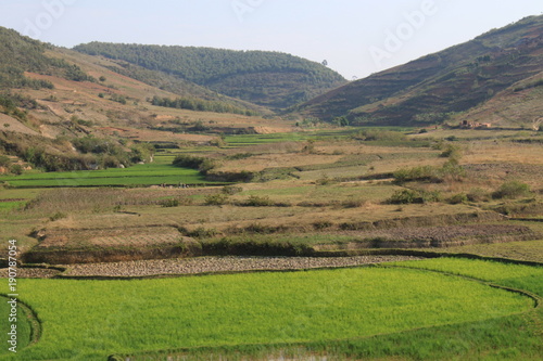 typische Reisfelder in Madagakar, Reisanbau auf Terassen,  © Robirensi