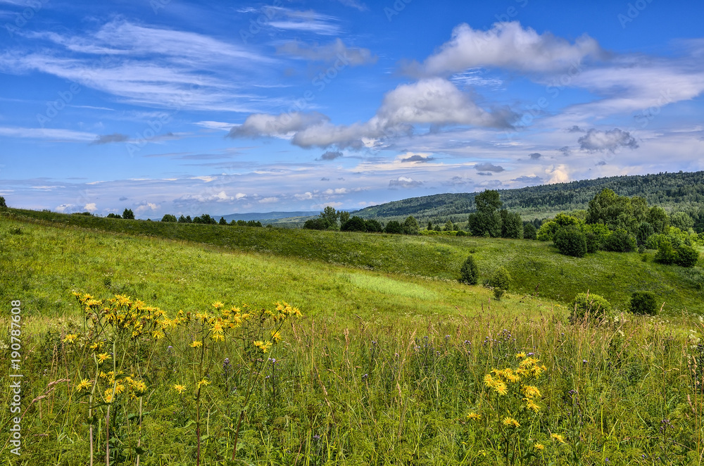 Picturesque summer landscape with flowering meadow on slope of hill