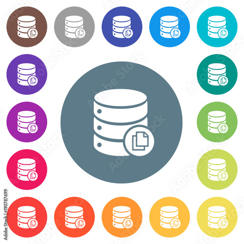 Copy database flat white icons on round color backgrounds