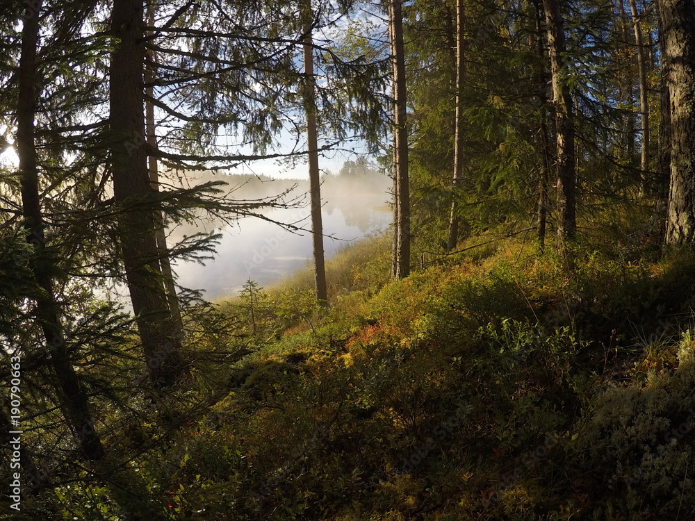 Obraz premium Sunset in Norway 2