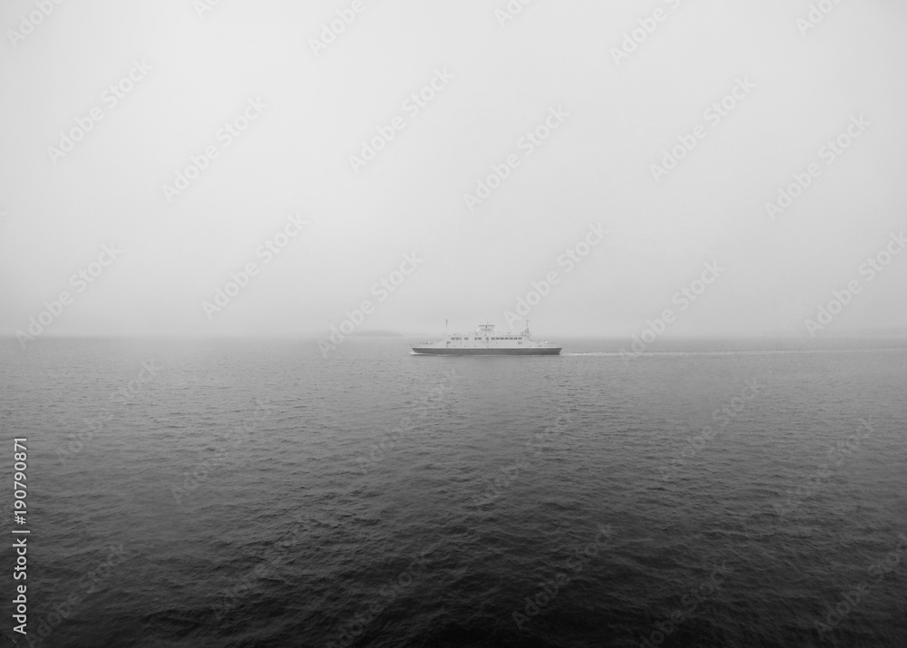 Cruiser in the fog