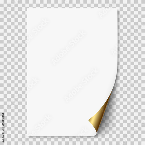 Vector white realistic paper page