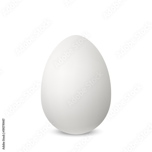 Vector white single realistic animal egg.