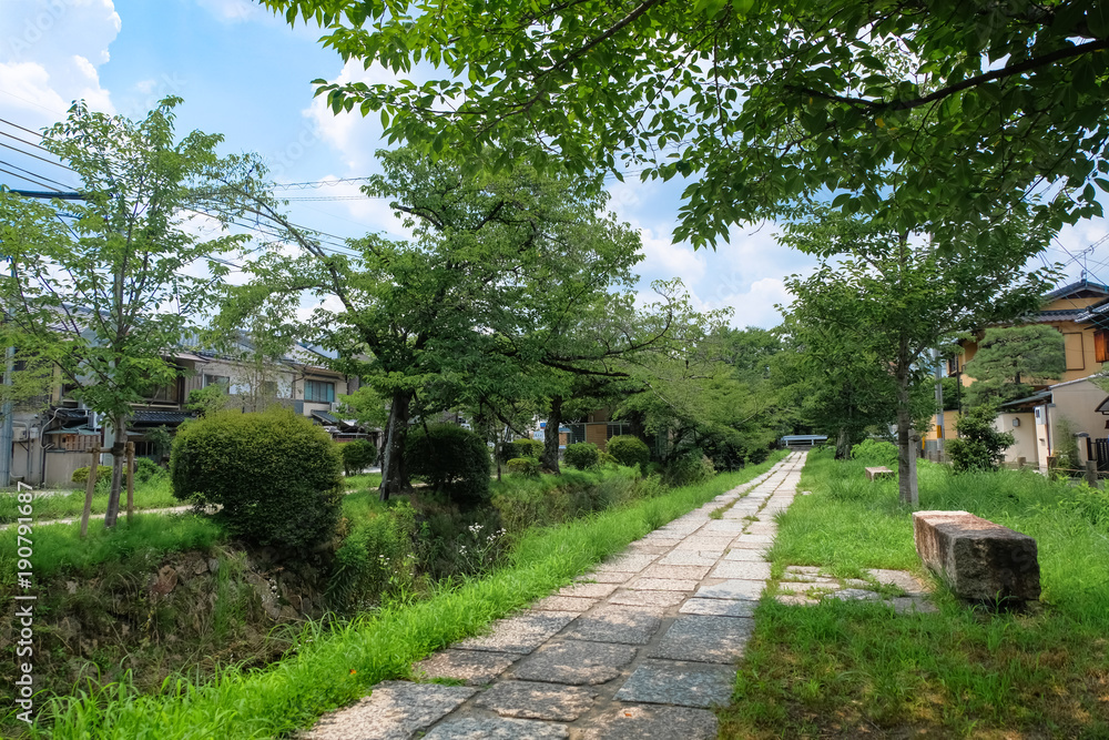 Fototapeta premium 京都市 哲学の道