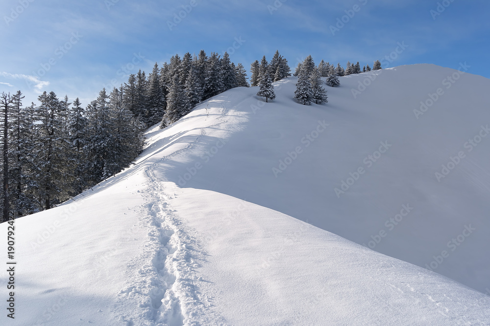 Herrliche Winterlandschaft