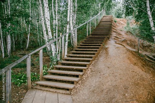 large wooden staircase in the forest. Stairs up the hill  wooden steps. Up the stairs.