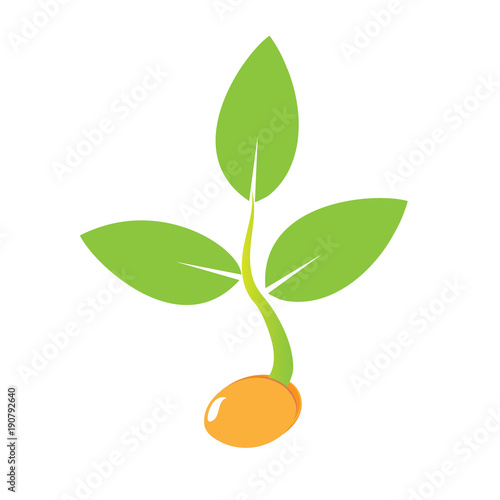 Planting seed sprout in ground. Symbol grow sapling. Icon, flat isolated on white background. Vector