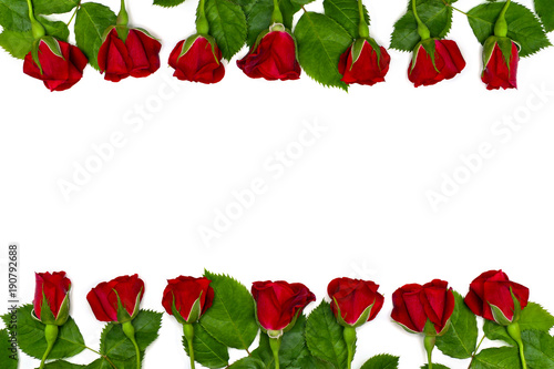Red roses on a white background with space for text. Top view, flat lay. Valentine decoration.