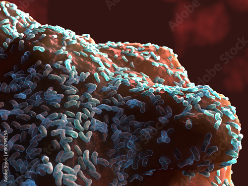 3D Illustration of bacteria on a surface photo