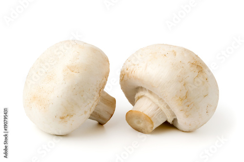Two champignon on a white, isolated.