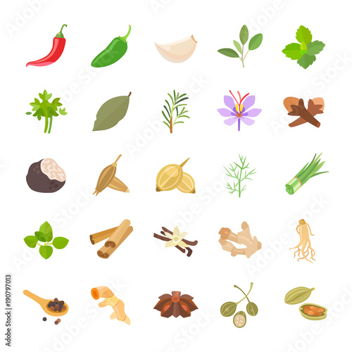 Herbs & Spices color vector icons