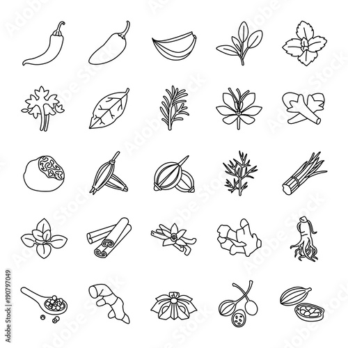 Herbs & Spices outlines vector icons
