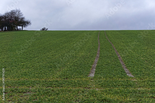 meadow with skid marks in autumn on a cloudy day