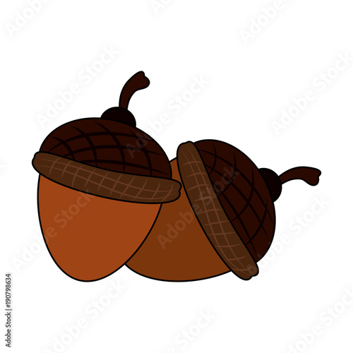 Nuts cartoon isolated icon vector illustration graphic design