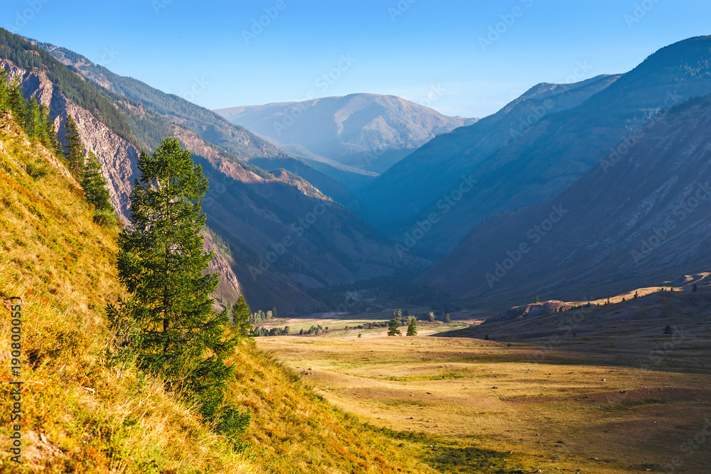 A classic Altai landscape with snow-capped rocky mountains and vast pastures with lush grass