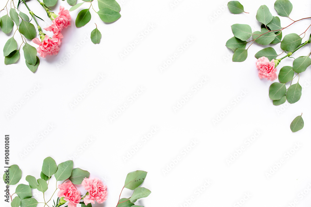 Branches of eucalyptus and clove pink, border frame, isolated on white background. The apartment lay, top view.