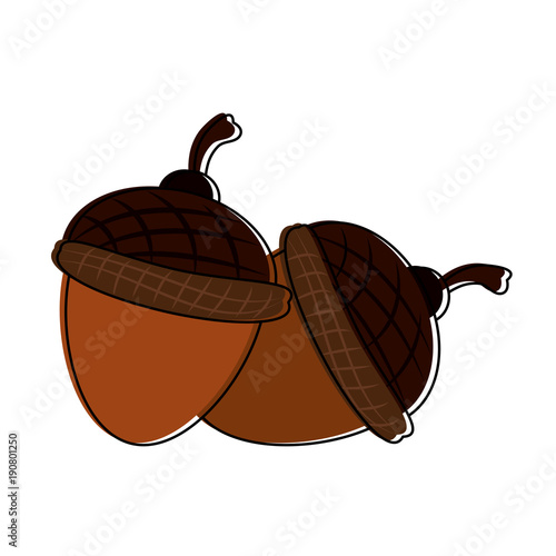 Nuts cartoon isolated icon vector illustration graphic design
