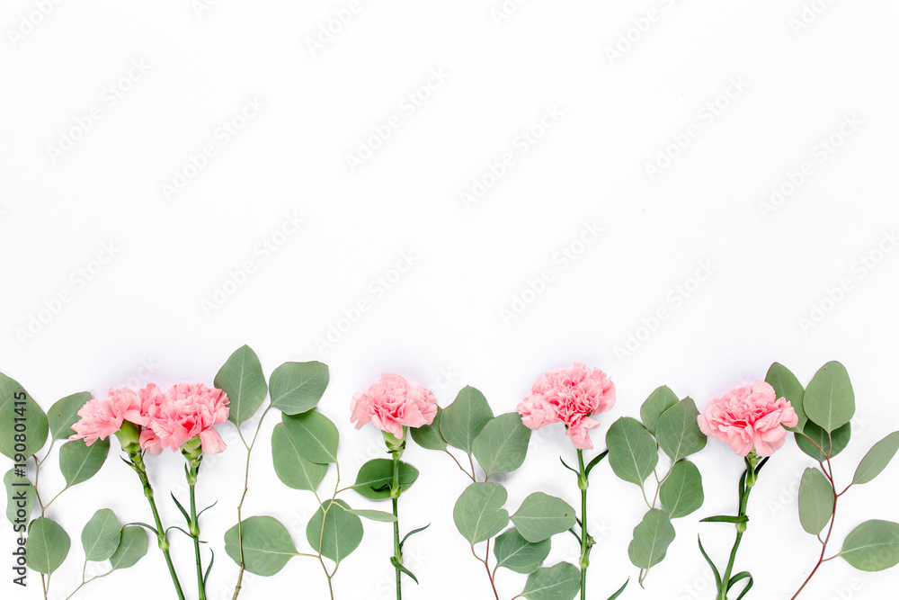 Branches of eucalyptus and clove pink  isolated on white background. The apartment lay, top view.