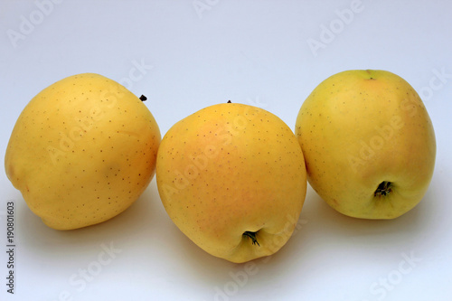 Obraz na plátně tasty ripe apples