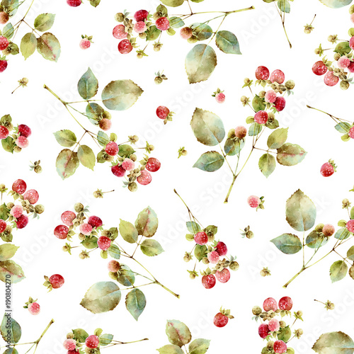 Raspberry twigs. Seamless pattern