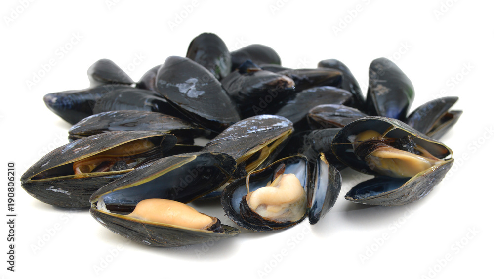 group of boiled mussels in shells isolated on white background group of boiled mussels in shells isolated on white background