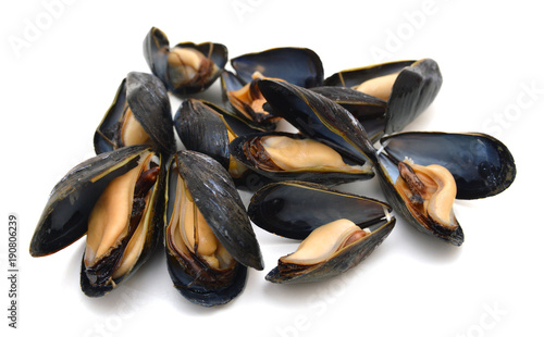 group of boiled mussels in shells isolated on white background