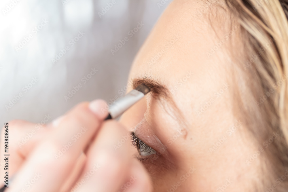 make-up and modeling of eyebrows, close-up