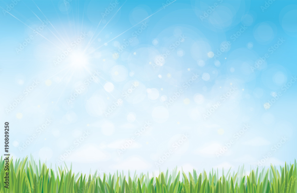 Vector summer nature  background, blue sunny sky and green grass border.