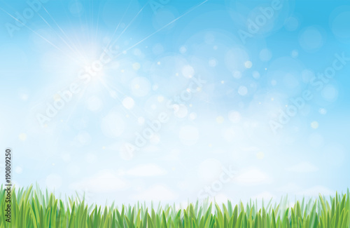 Vector summer nature background, blue sunny sky and green grass border.