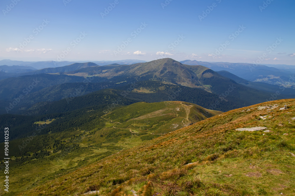 Fototapeta premium mountain nature forest
