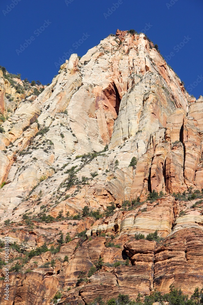 Fototapeta premium scenery from Zion National Park Utah