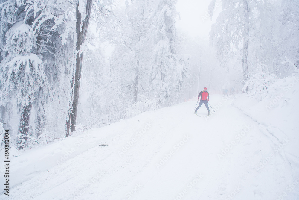 Nordic ski in Beautiful white winter forest in snow, original photo with edit space