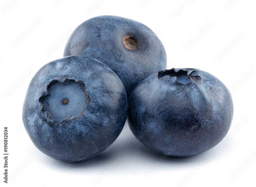 Obraz premium Blueberry