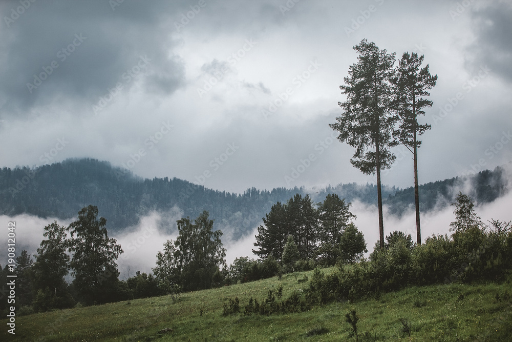 fog in mountian. overcast. fog in mountian. overcast.