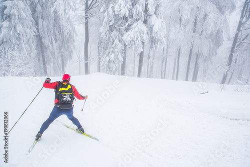 Nordic ski in white winter nature, cross country skiing, sport photo