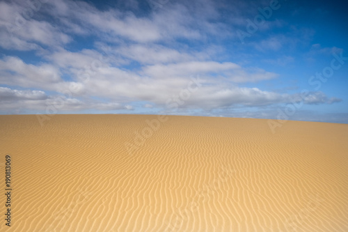 beautiful view of dune in the desert