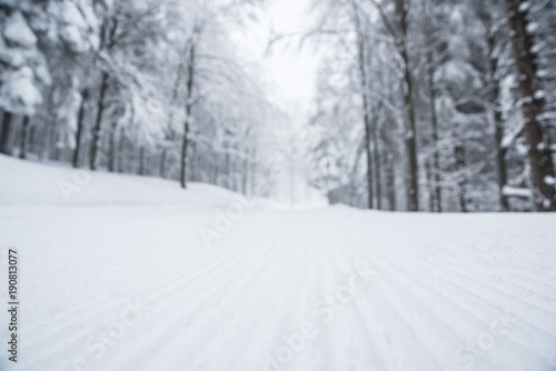 Nordic ski track in forest, sport photo, edit space