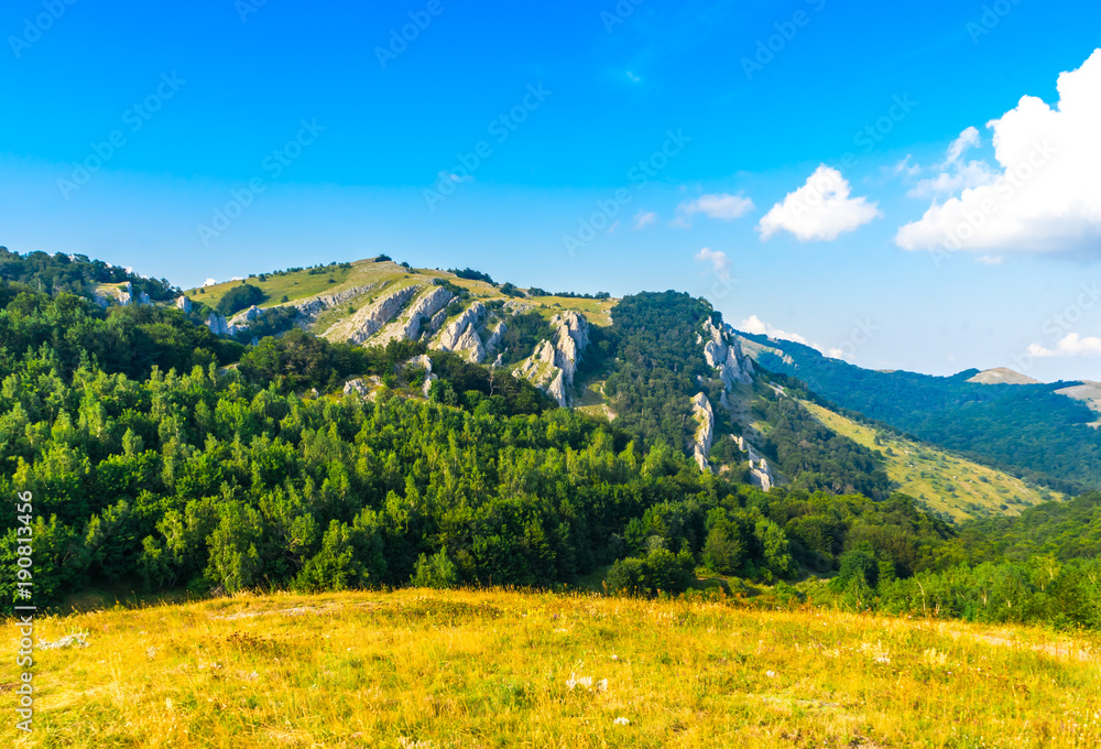 Crimean mountains covered with forest. View from Demerdzhi Mountain in Crimea, Russia