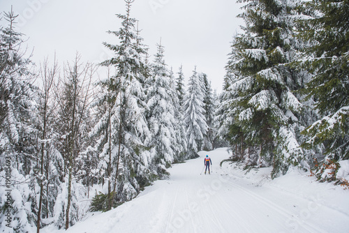 Nordic skier in white magic fairy tale winter forest