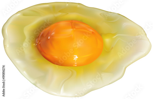 Egg without eggshell