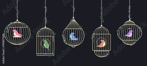 Birds in golden cages
