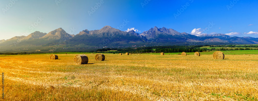 Hay on the field in summer sunset with mountains background  - obrazy, fototapety, plakaty 